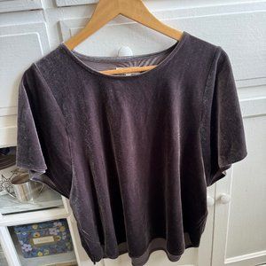 Madewell Velvet Butterfly Shirt